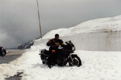 1998-006