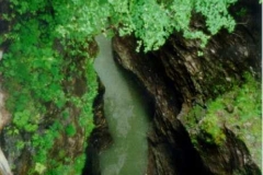 1999-019