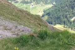 2017_06_15_14_42_59