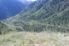 IMG-20180622-WA0005