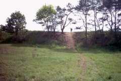Digital Camera