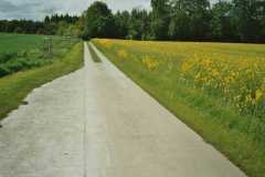 2004_05_21_1222_eks-008