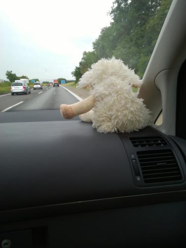 2016 06 15 12 36 27 ol