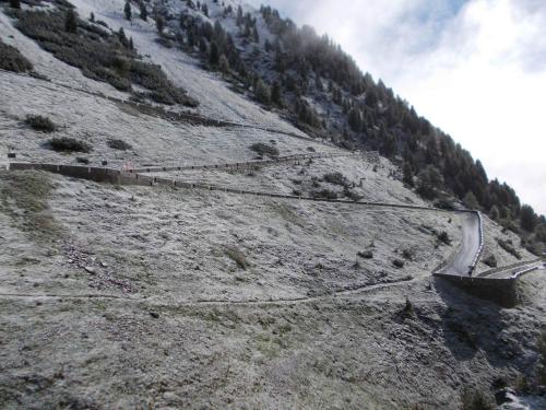 2016 06 17 07 38 04 ol