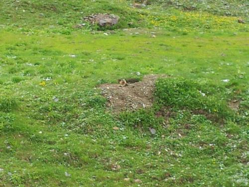 2016 06 17 09 59 04 fa