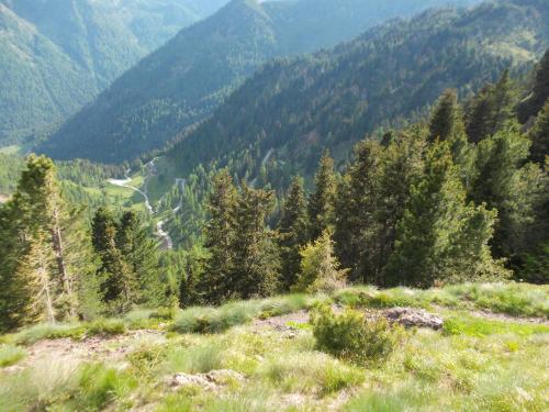 2016 06 22 16 54 02 ol