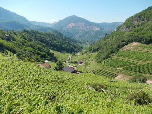 2016 06 23 09 42 33 ol