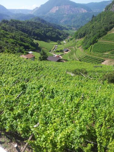 2016 06 23 10 28 23 fa