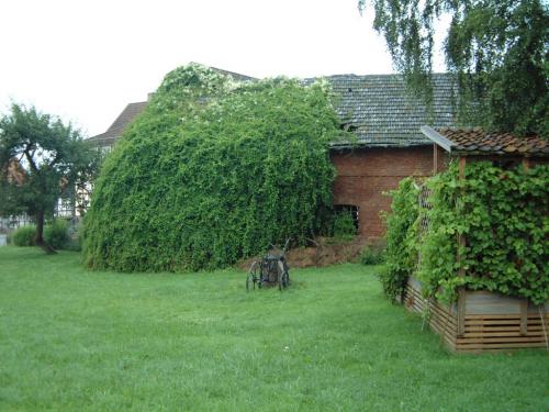 P16 H Hemfurth-Idylle