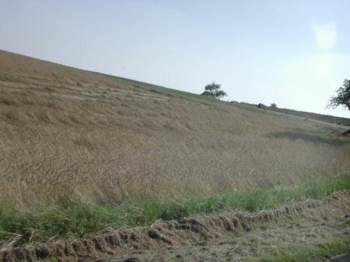 P40 A Richtung Edersee