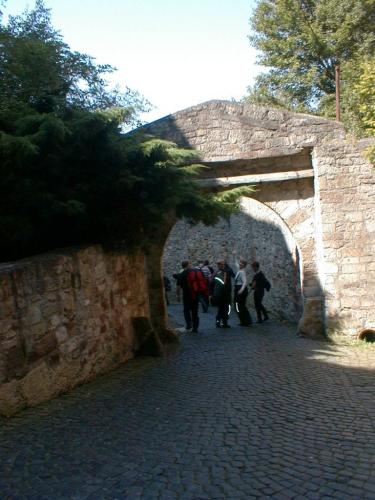 P61 A Aufstieg Burg Waldeck