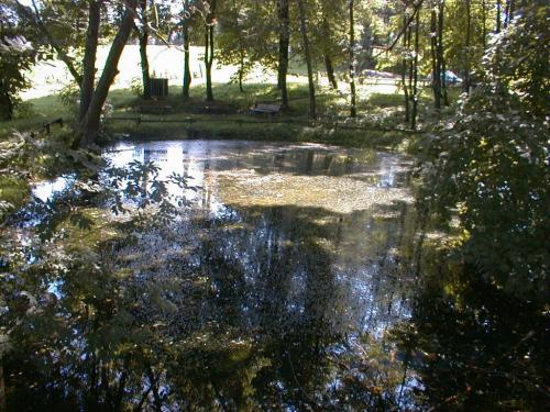 P74 A Hier kommt die Lahn