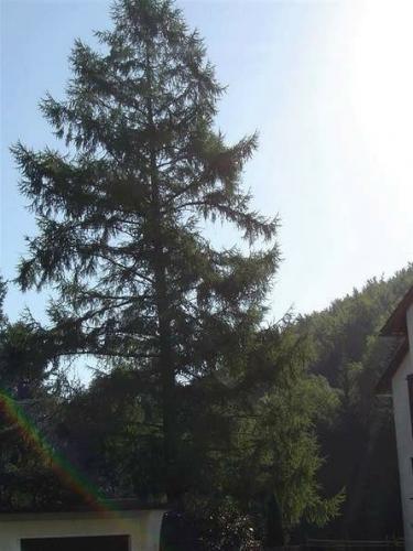 08-2003-024-lienhard