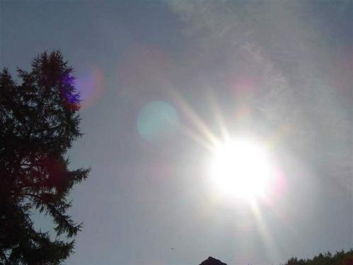 08-2003-025-lienhard