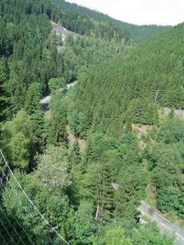 08-2003-036-lienhard