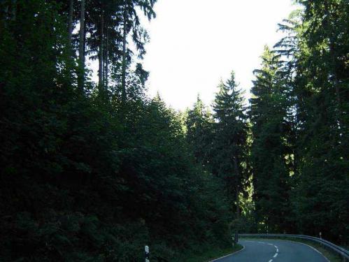 08-2003-045-lienhard