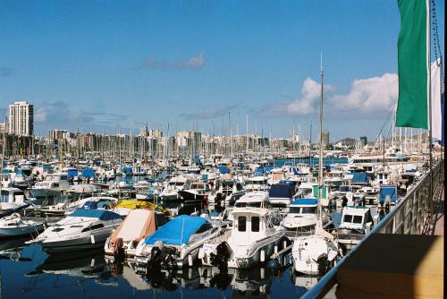 gran canaria2008 025