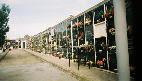 gran canaria2008 130