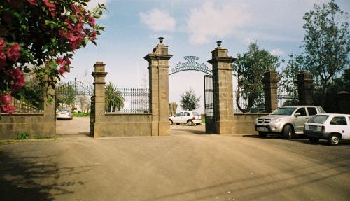 gran canaria2008 134