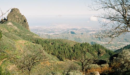 gran canaria2008 142