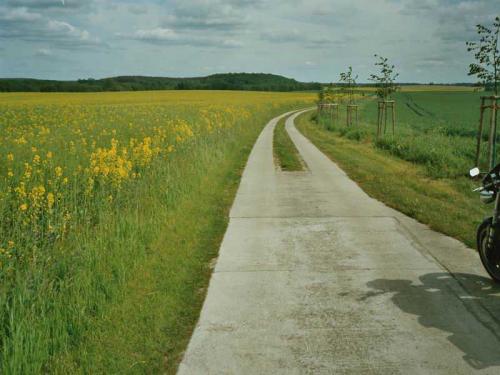 2004 05 21 1222 eks-007