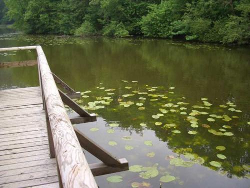 2007 03 19 14 25 52-001