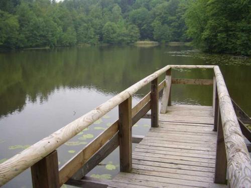 2007 03 19 14 25 52-002