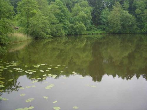 2007 03 19 14 25 52-003