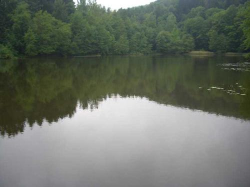 2007 03 19 14 25 52-004