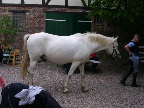 2007 03 19 14 26 00-003