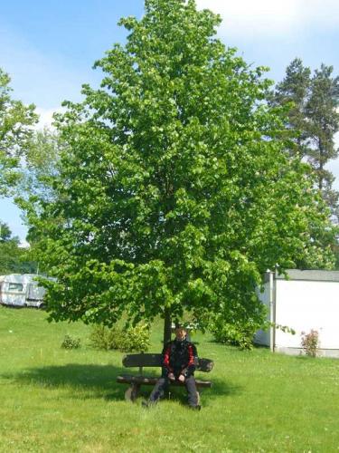 2007 03 19 14 26 06-002