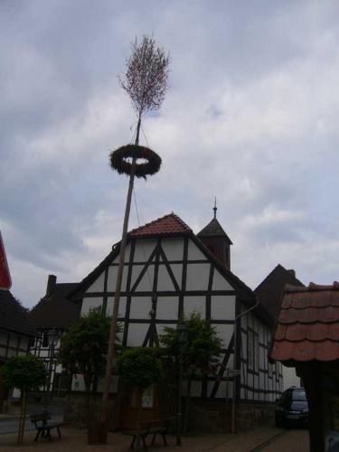 2007 03 19 14 26 16-004