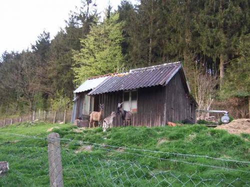 2008 03 19 14 26 32-001