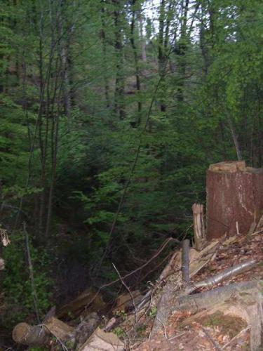 2008 03 19 14 26 33-003