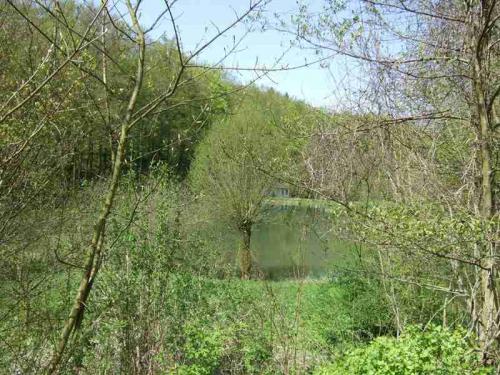 2008 03 19 14 26 34-003