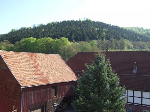 2008 03 19 14 26 37-003