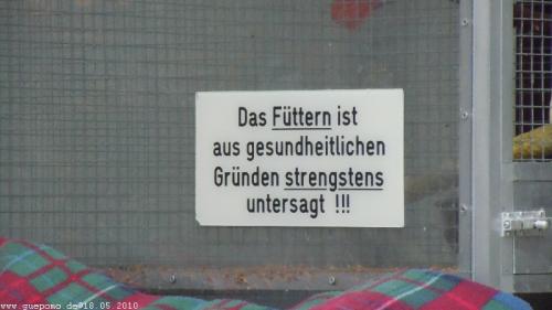 20100513-1903 jd-002