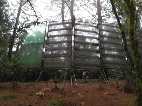 IMG 20191112 110433-149-143