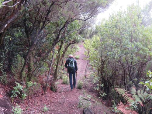 IMG 20191112 162354-004-146