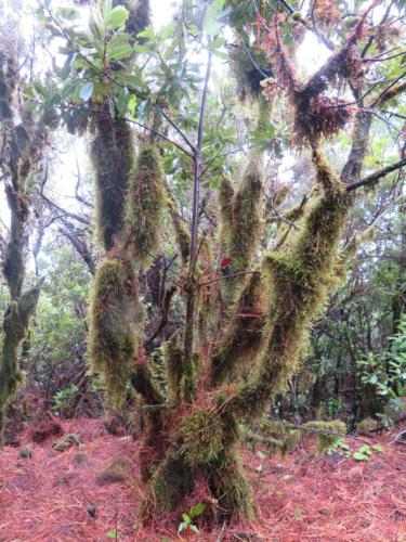 IMG 20191112 170610-013-148