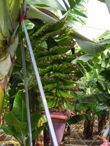 IMG 20191114 121232-193-157