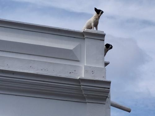 IMG 20191114 124721-194-158