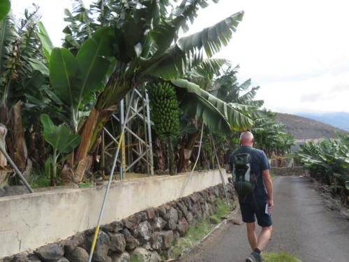 IMG 20191114 141622-051-160