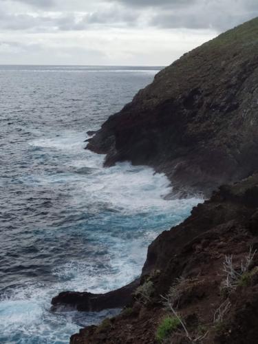 IMG 20191115 110119-213-163