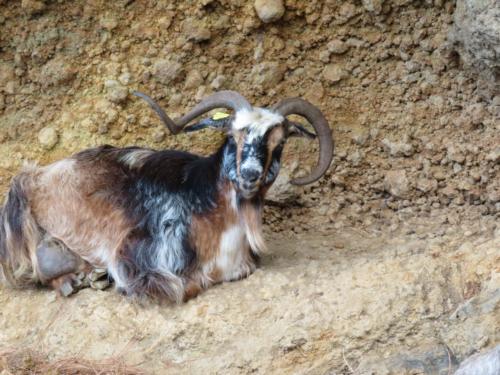 IMG 20191115 184656-092-173