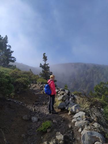 IMG 20191117 143016-263-174