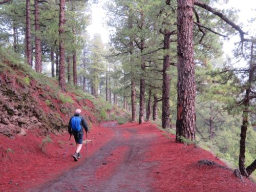 IMG 20191117 183054-104-178