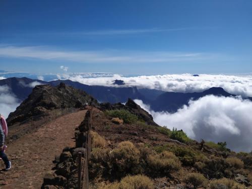 IMG 20191119 125330-284-185