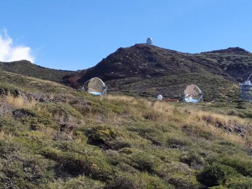 IMG 20191119 131454-286-186