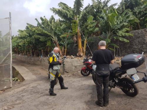 IMG 20191120-184701-302-203